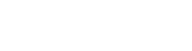 Twins Theory